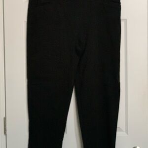 Terra & Sky Black Skinny Pants